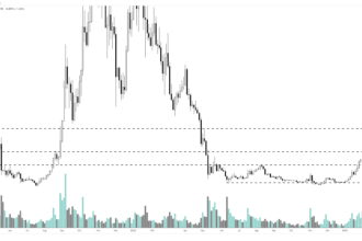 Shiba Inu, Avalanche, Fantom, dan Altcoin inovatif ini akan Rally besar-besaran  menurut Analis