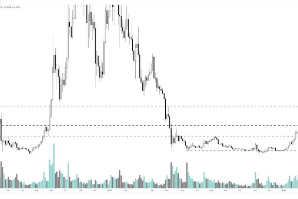 Shiba Inu, Avalanche, Fantom, dan Altcoin inovatif ini akan Rally besar-besaran  menurut Analis