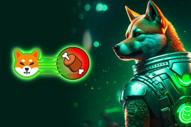 Shibarium Shiba Inu Siap Luncurkan Beta Publik Minggu Ini, ShibaSwap Meroket!