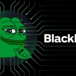 BlackRock Fund Menarik 1,27 Triliun Koin Pepe dari Binance