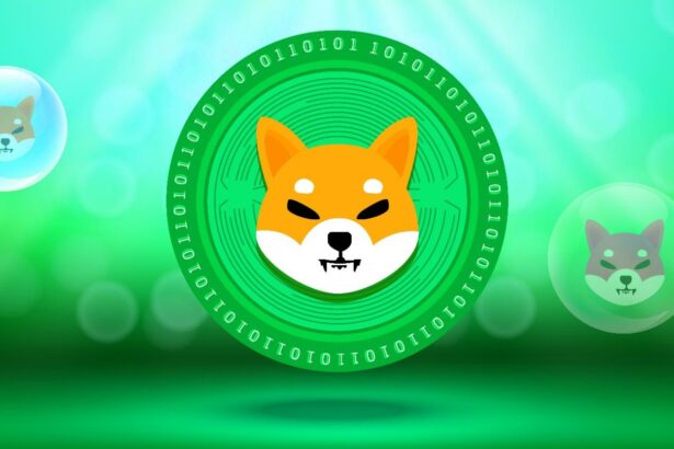 DigiToads (TOADS): Token Siap untuk Pertumbuhan Eksplosif 600%, Mengungguli Shiba Inu (SHIB)