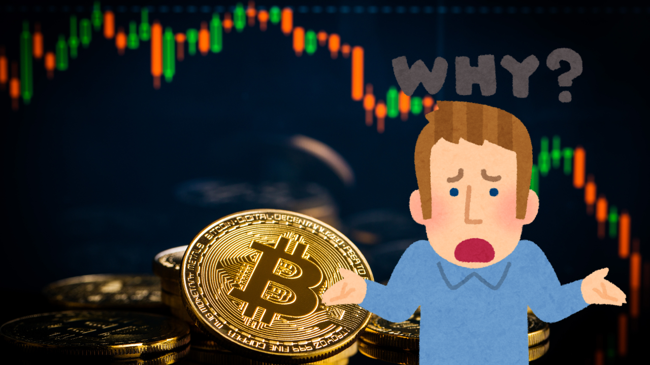 Mengapa Keruntuhan Bitcoin Bukanlah Hal yang Perlu Dikhawatirkan ...